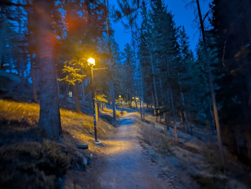 A mountain trail in Banff, Canada